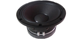 BEYMA 10G40 CHASSIS SPEAKER