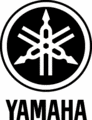 A little bit about....Yamaha Power Amps